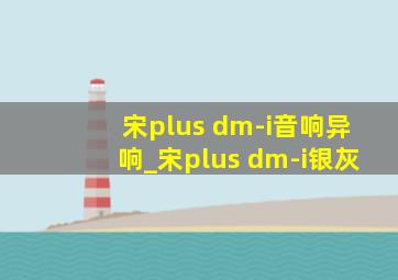 宋plus dm-i音响异响_宋plus dm-i银灰